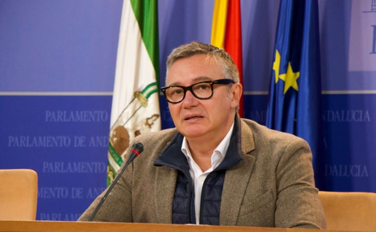 El portavoz parlamentario de Vox, Manuel Gavira. 