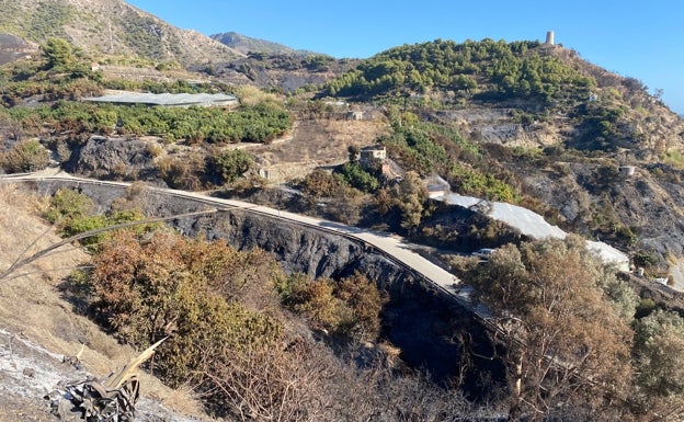 Imagen principal - Arriba, aspecto de una de las zonas afectadas por el reciente fuego en Maro; abajo, a la izquierda, manifestación en apoyo de los colonos, con todos los partidos políticos de aquel momento, y a la derecha, la Guardia Civil, rompiendo la puerta de acceso a la gruta. 