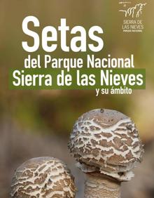 Imagen secundaria 2 - Morchella mediterraneensis, una de las cagarrias descritas.. Abajo, descripción de las setas en el libro y la obra.