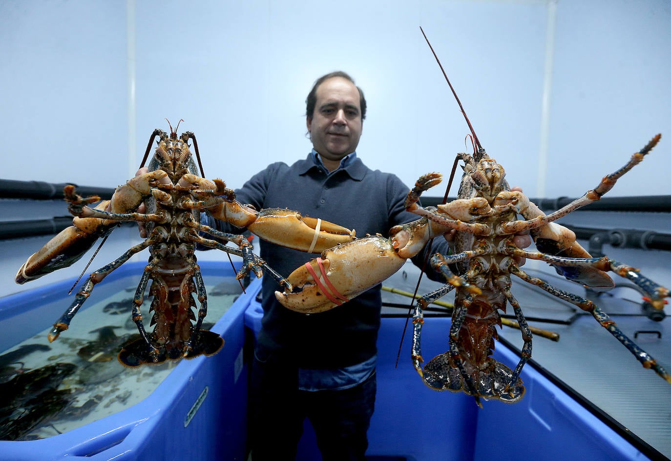 Mercamálaga es un espectáculo de productos frescos de primera calidad 