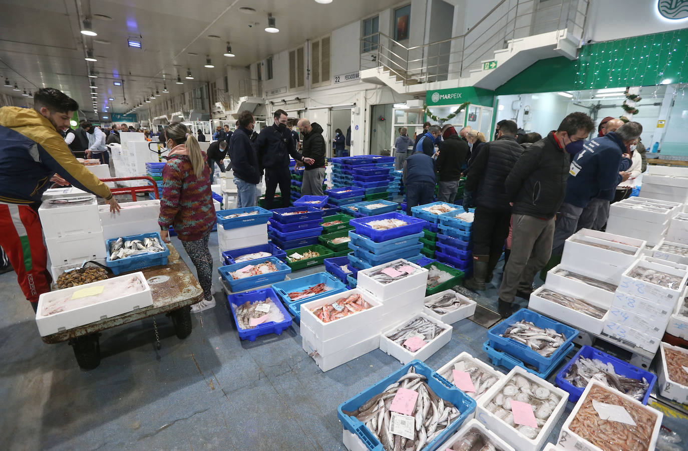 Mercamálaga es un espectáculo de productos frescos de primera calidad 