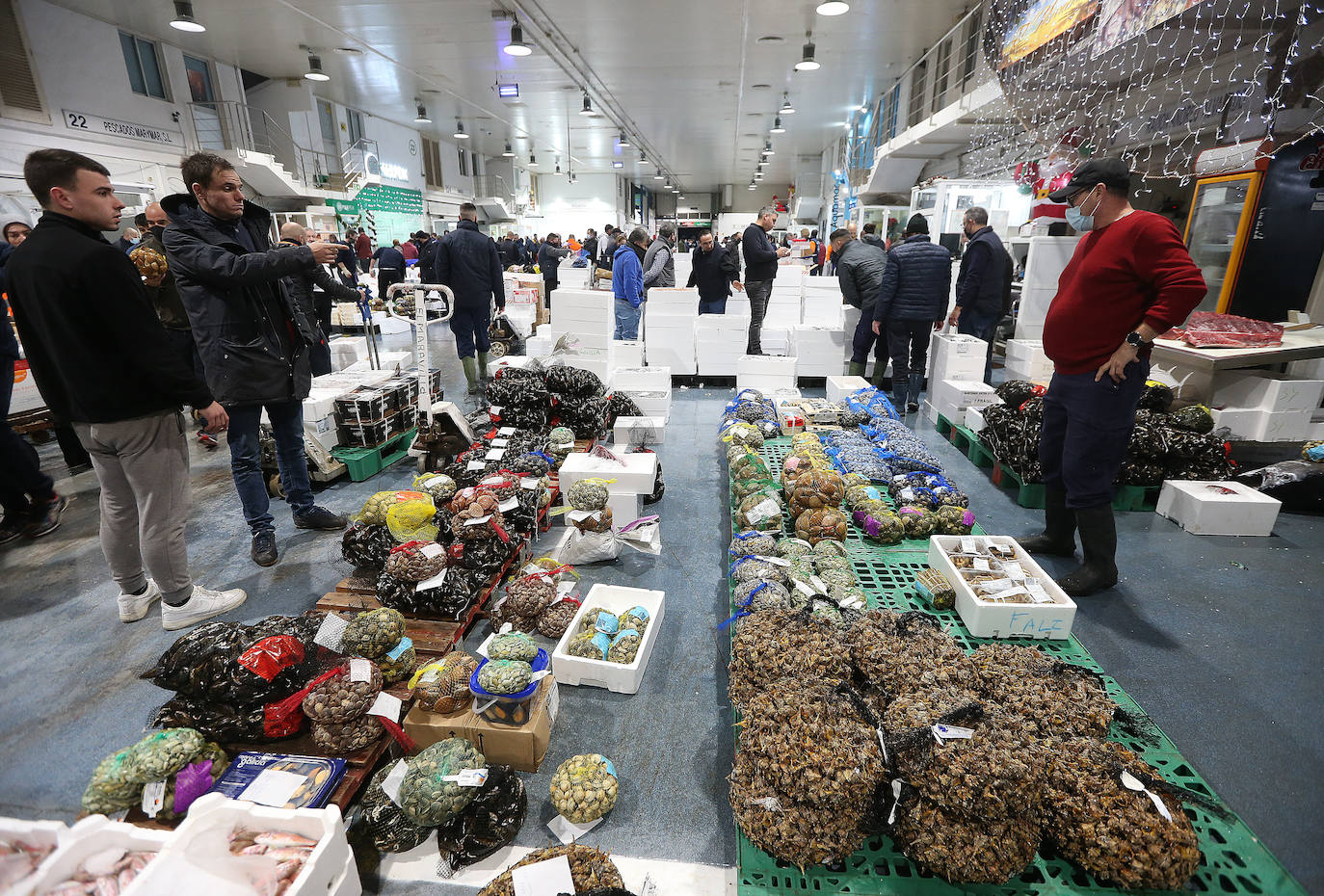 Mercamálaga es un espectáculo de productos frescos de primera calidad 