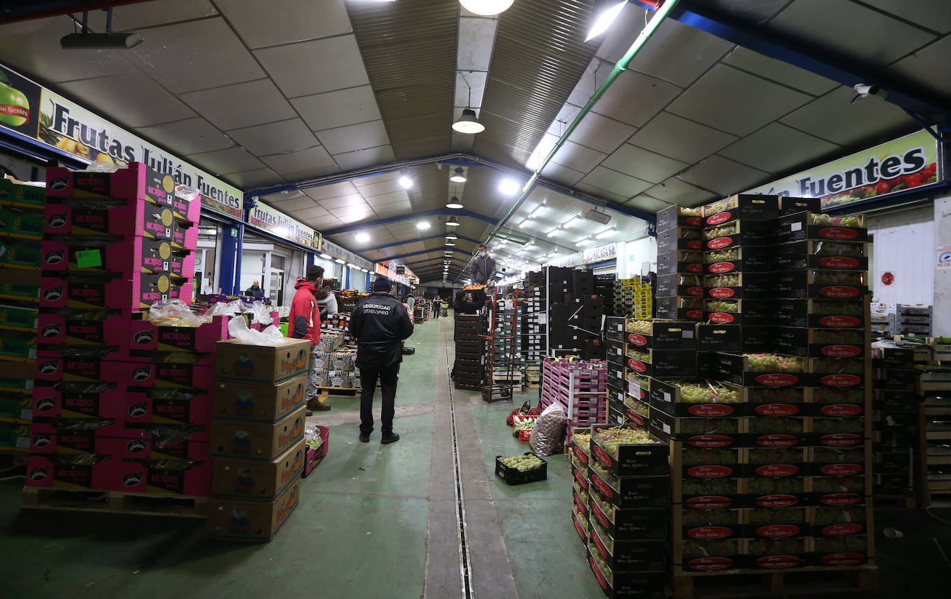 Mercamálaga es un espectáculo de productos frescos de primera calidad 