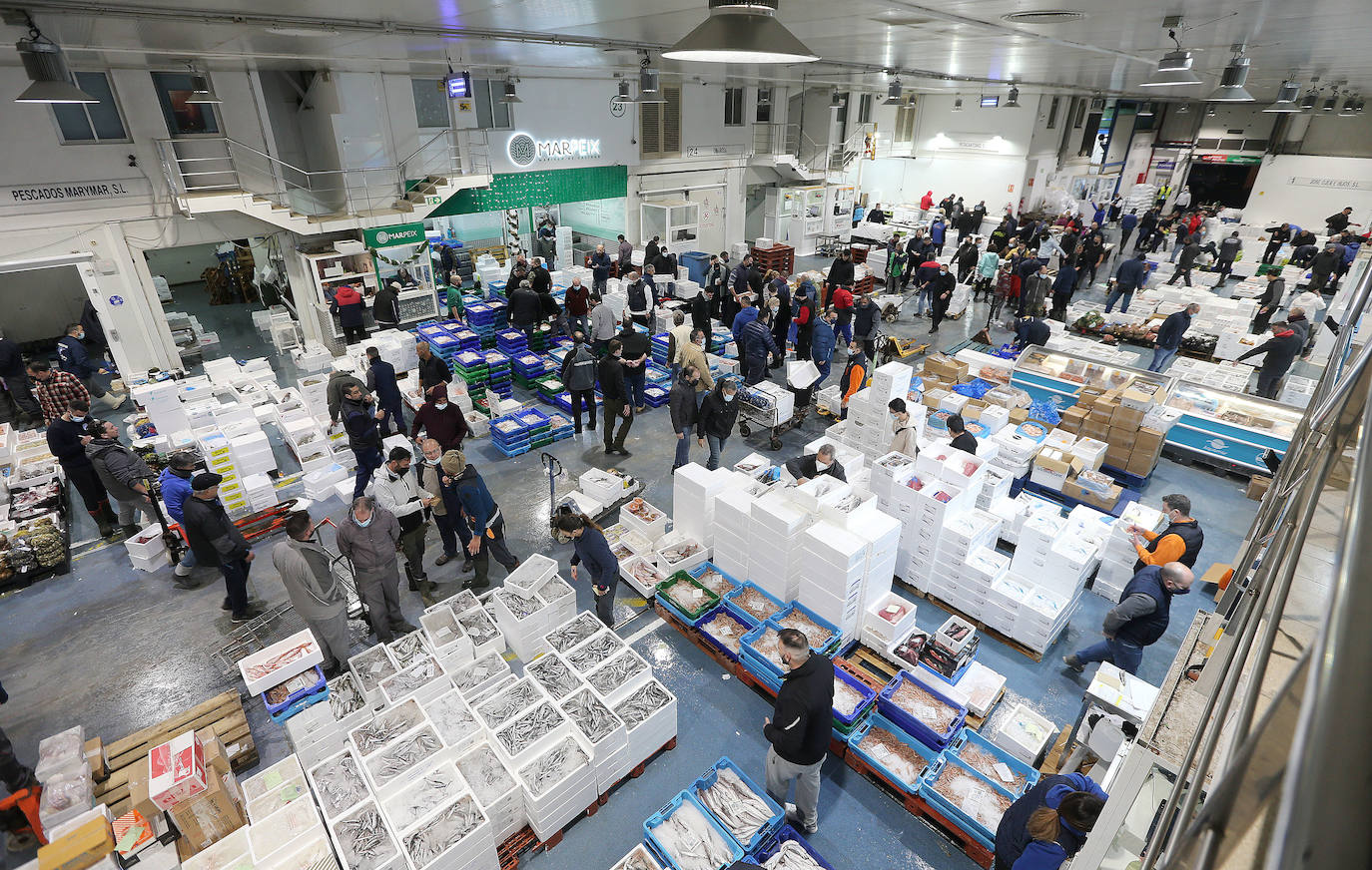 Mercamálaga es un espectáculo de productos frescos de primera calidad 