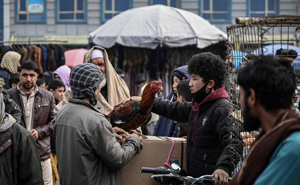 Un joven vende un gallo en un mercado de Kabul, atestado este domingo de visitantes. 