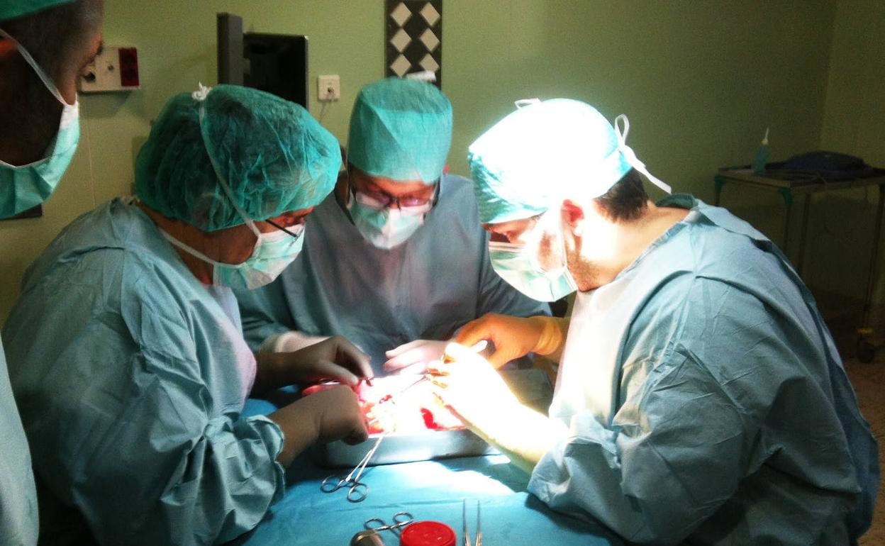 Imagen de un trasplante de órganos. 