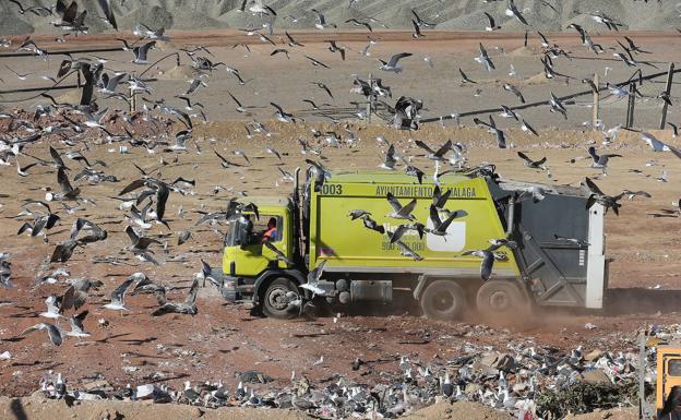 Málaga estudia una nueva instalación para afrontar el final de la vida útil del vertedero de Los Ruices, tras una última ampliación que permitirá prolongarla no más allá de 2025. 