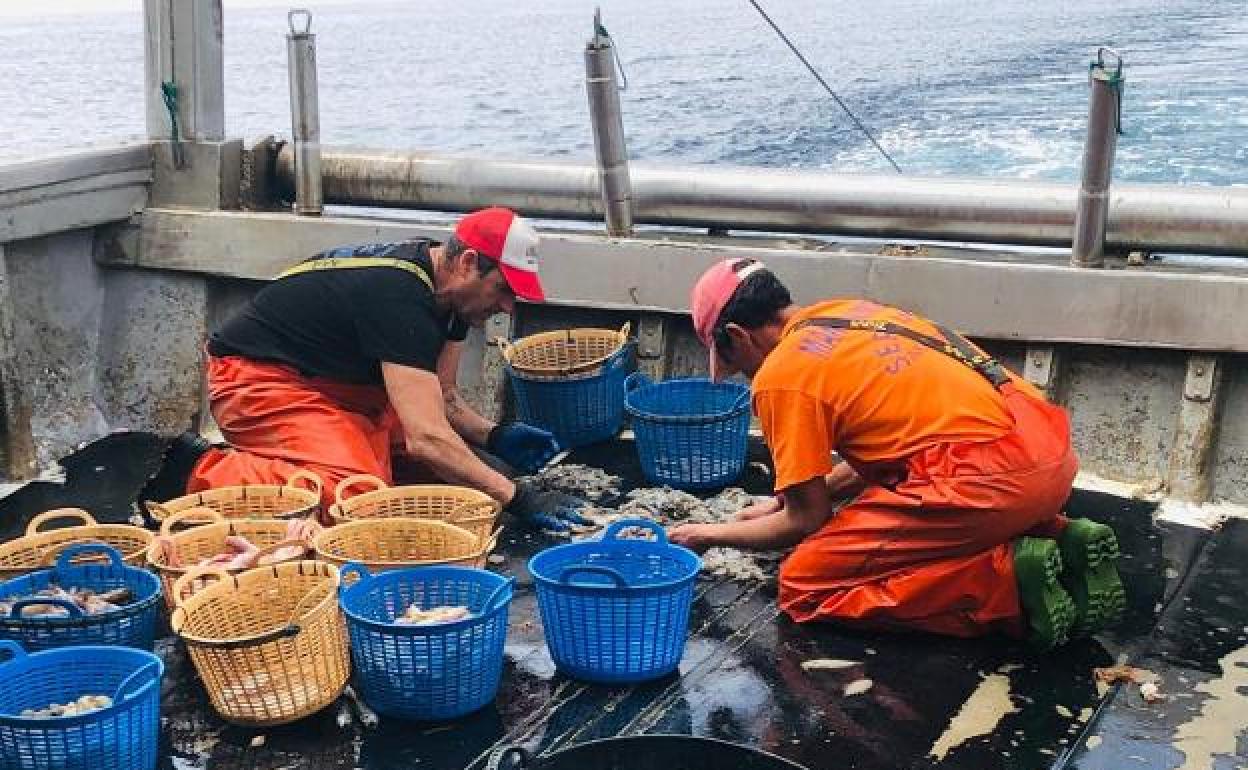 La Junta aplaude «el fin de la injusticia» en la flota de Andalucía al aplicar también vedas de pesca a portugueses en enero