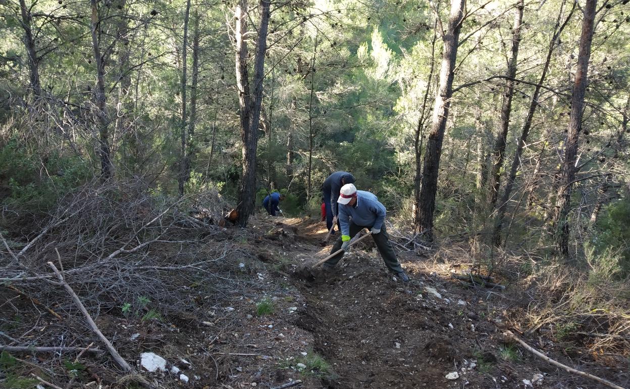 Recuperación de caminos antiguos en la Sierra de las Nieves.