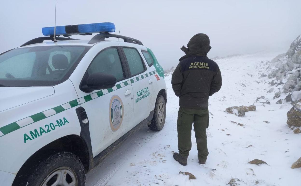 Zona de Puerto Pilones. 