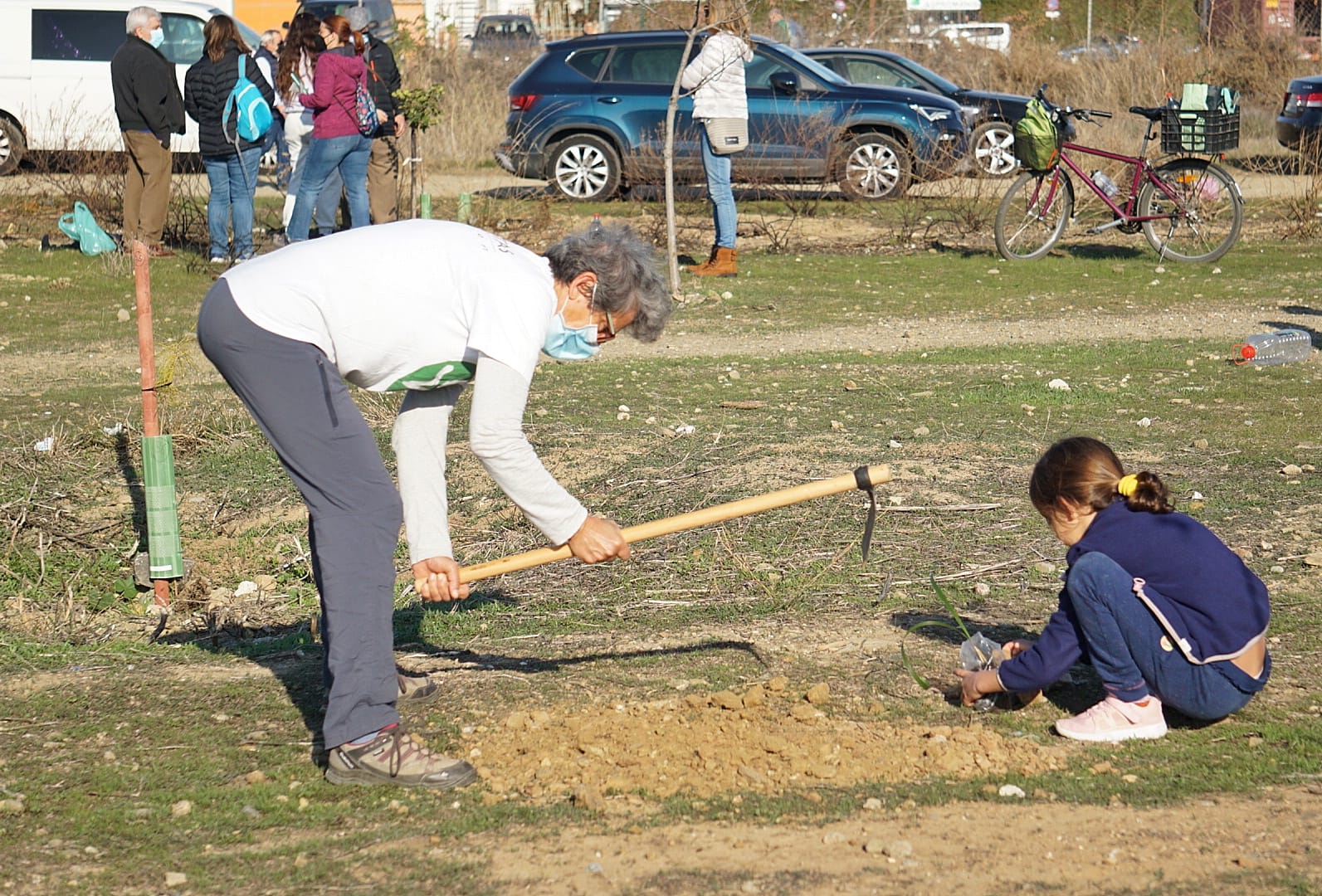 Unas 200 personas participan en la limpieza y plantación de árboles en los suelos donde el Ayuntamiento de Málaga proyecta cuatro rascacielos