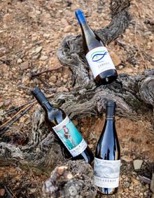 Imagen secundaria 2 - El milagro del suelo y la altitud Suelos muy minerales, pobres, y altitudes superiores a 1.000 metros logran mostos frescos y complejos y vinos tranquilos de gran calidad 