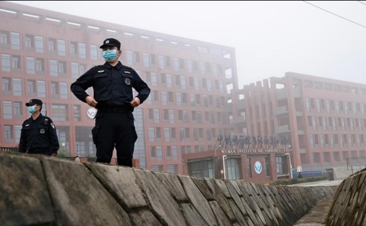 Coronavirus: El laboratorio de Wuhan creó ocho virus, dos muy infecciosos para el ser humano