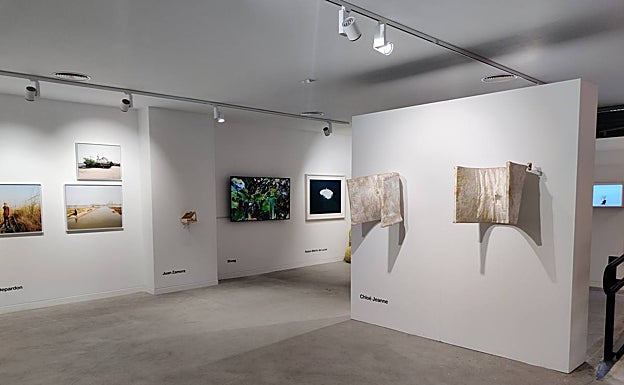 Imagen principal - Arte contra el cambio climático en Málaga: de la música de las bacterias a una obra con hongos