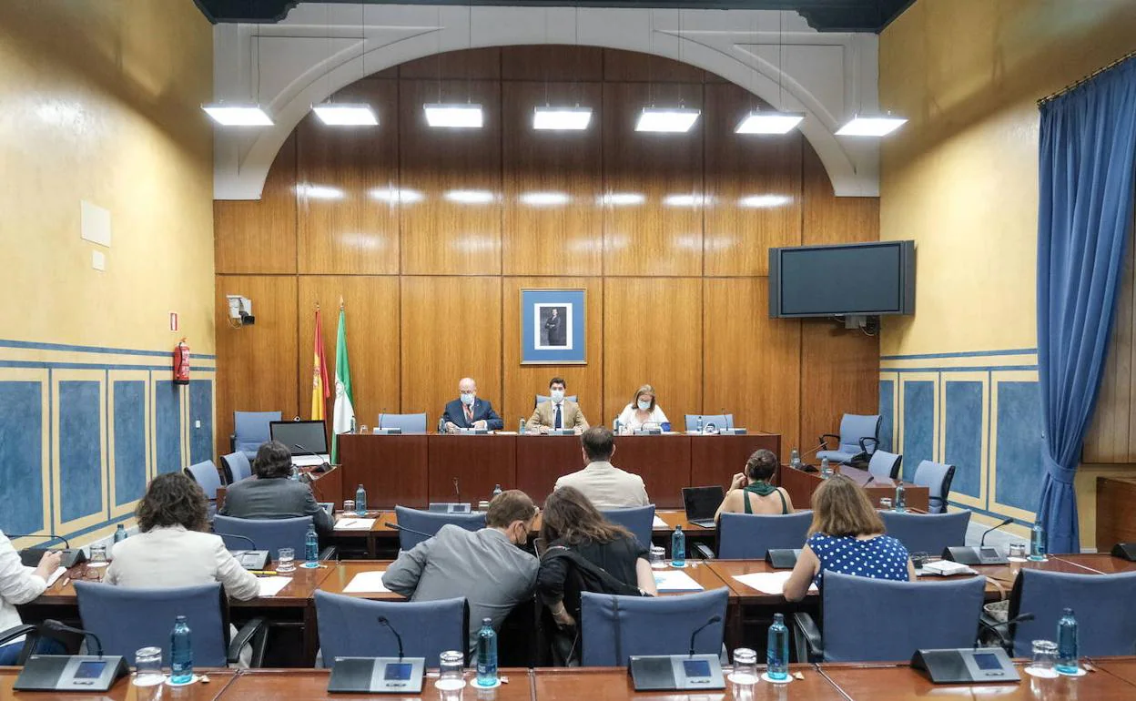 Comisión parlamentaria de la FAFFE en el Parlamento de Andalucía. 