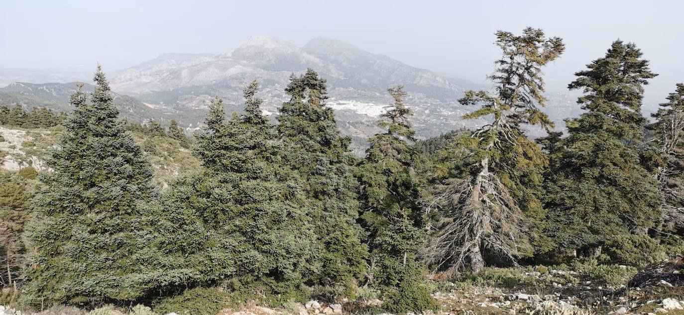 Pedro Sánchez recalcó que la consideración de Parque Nacional es «una fuente de oportunidades» para el desarrollo de la Sierra de las Nieves 