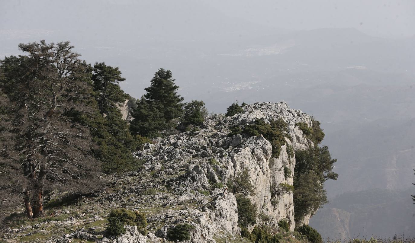 Pedro Sánchez recalcó que la consideración de Parque Nacional es «una fuente de oportunidades» para el desarrollo de la Sierra de las Nieves 