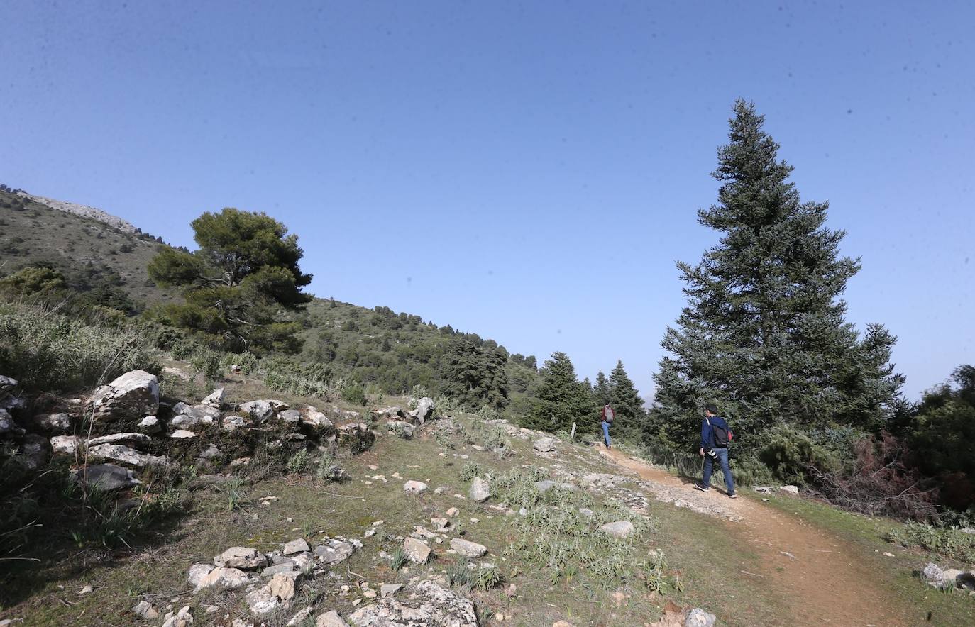 Pedro Sánchez recalcó que la consideración de Parque Nacional es «una fuente de oportunidades» para el desarrollo de la Sierra de las Nieves 