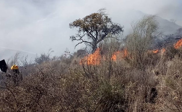 Los bomberos se despliegan en Puerto de la Torre por un incendio de monte