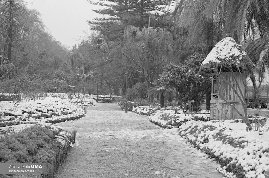 El 3 de febrero de 1954 es una fecha que ha quedado en el recuerdo de la capital. Aquel día se dieron las condiciones necesarias para que la nieve cuajara en Málaga y quedara una estampa que no se ha vuelto a repetir desde esa fecha. 