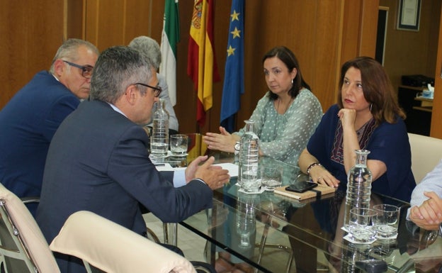 Imagen de la reunión celebrada de manera telemática. 