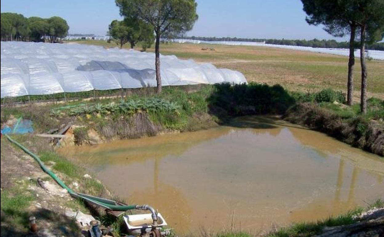 Extracción de agua para el suministro de una explotación de fresa en el entorno de Doñana.