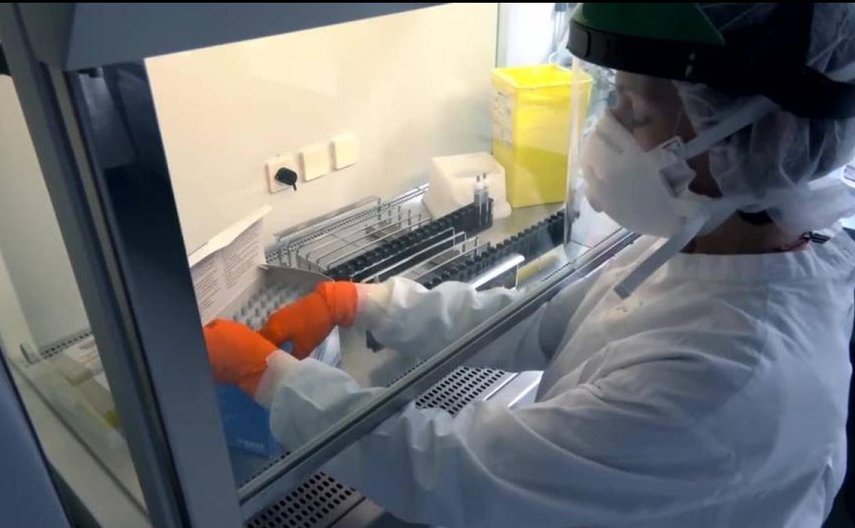 La UMA conmemora el Día de la Mujer y la Niña en la Ciencia