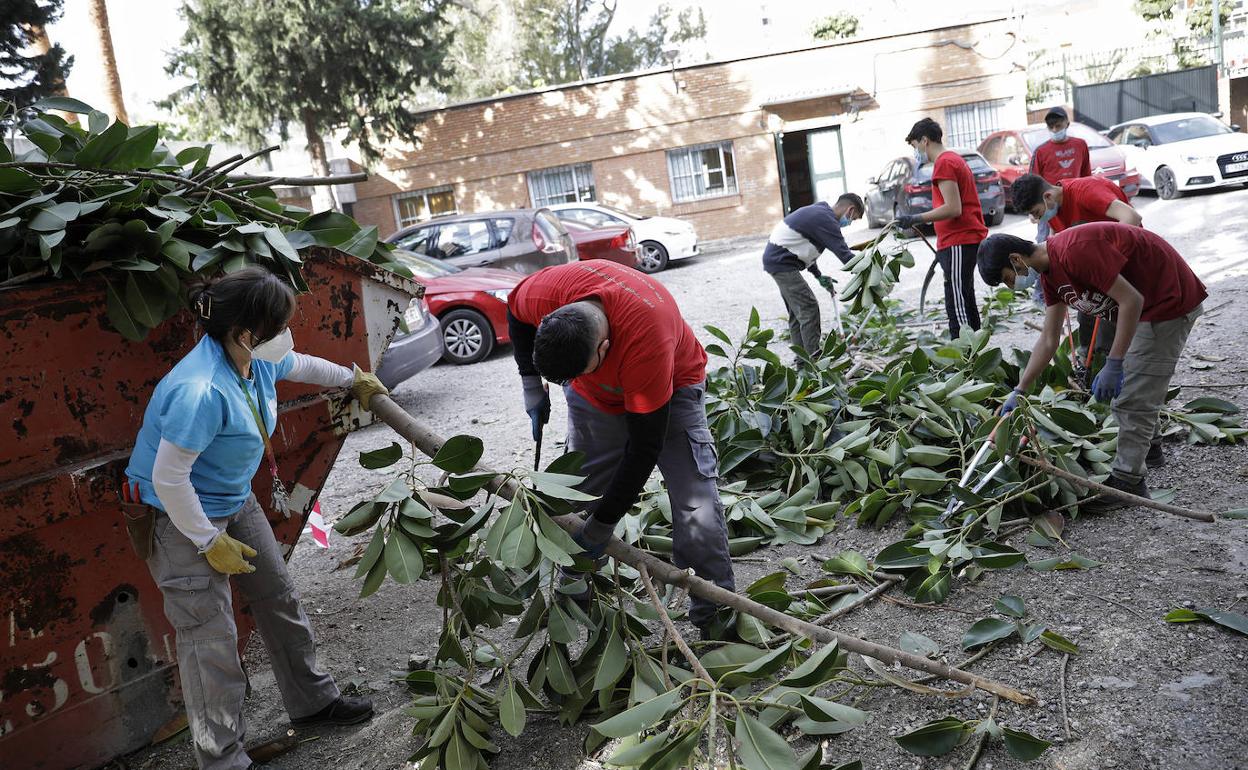 Un grupo de alumnos del ciclo de Jardinería del instituto Guadalmedina, de la capital, en plenas tareas de poda bajo la supervisión de la profesora Ángeles Berenguel. 