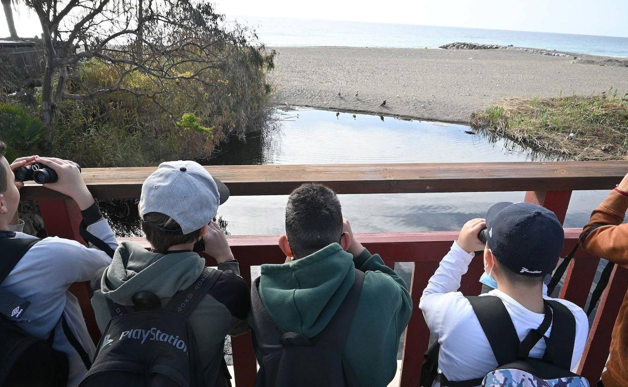 Los alumnos observan las aves en la desembocadura del río Verde. 