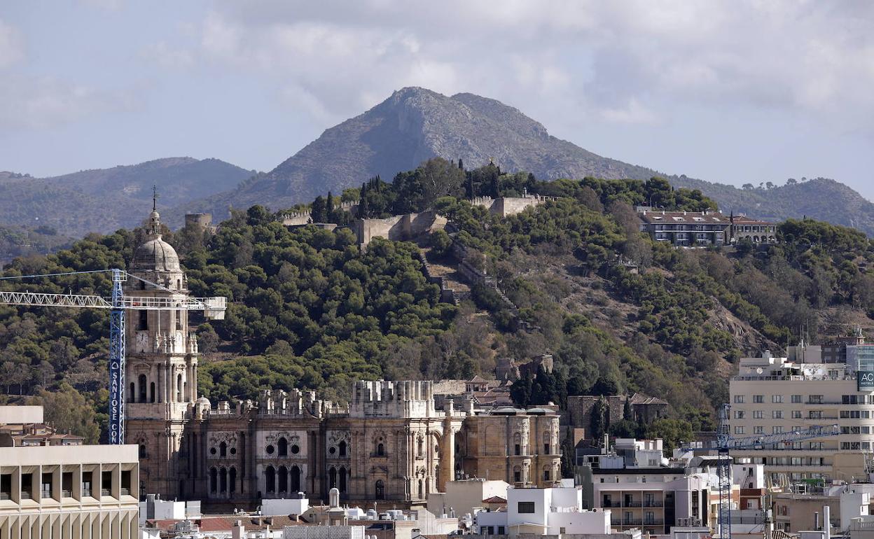 Málaga proyecta eliminar árboles del monte Gibralfaro para que se vean mejor las murallas del castillo