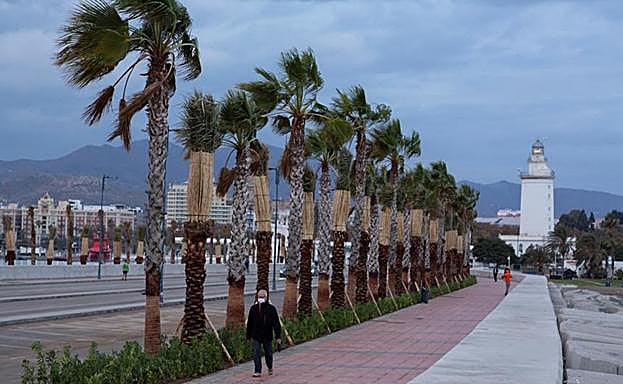 Un herido y hasta 30 incidencias por el fuerte viento