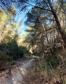 Imagen secundaria 2 - Nerja acoge una ruta de senderismo especial para celebrar el día de la mujer montañera