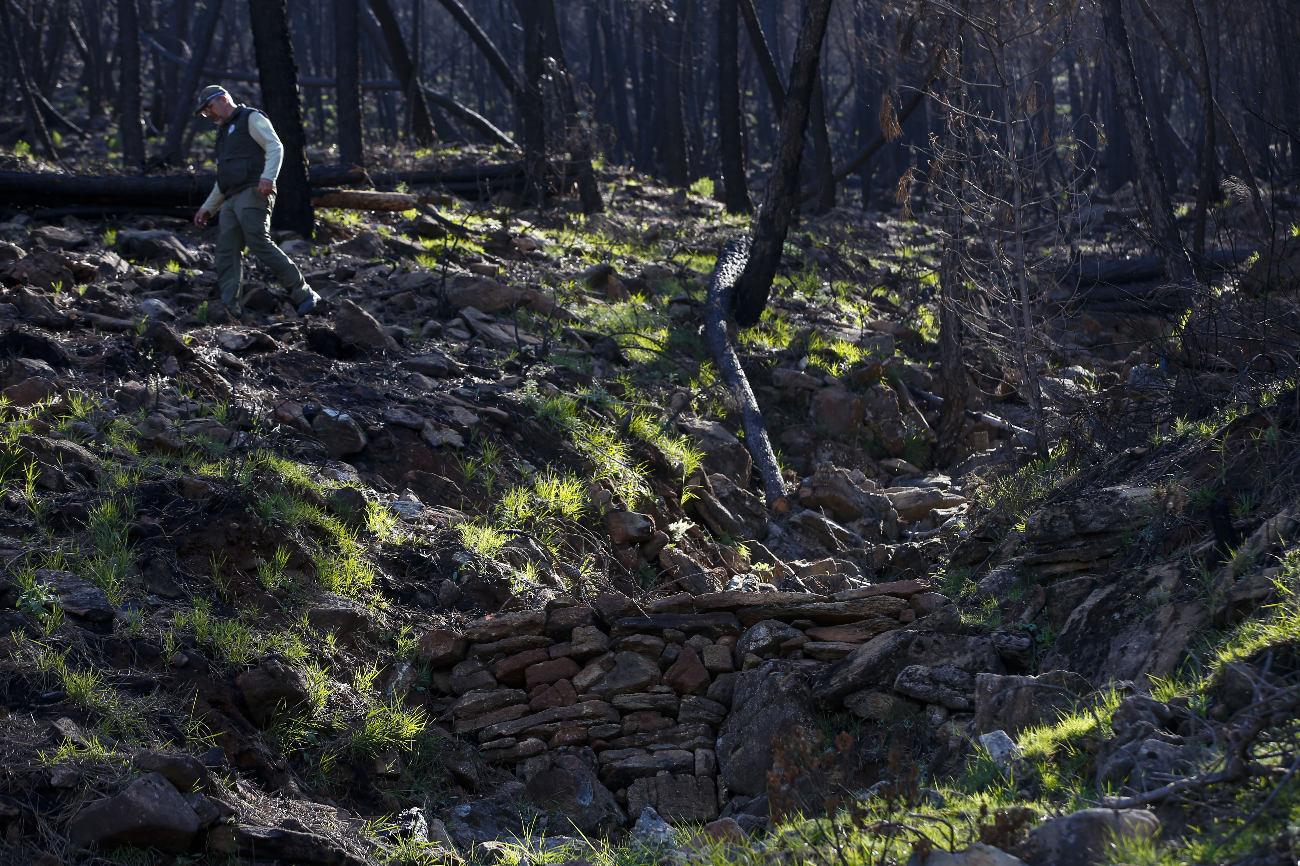 Más de 9.000 hectáreas de bosque quedaron aniquilados por el fuego. Una visita a la zona afectada, seis meses después, revela cómo la naturaleza trata de recuperarse en el Valle del Genal