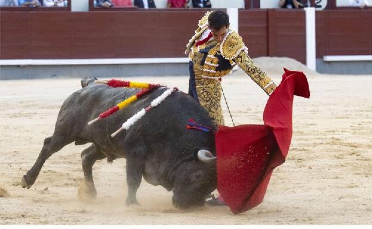 Fortes toreando al natural al 'victorino' que le lesionó el pasado año.