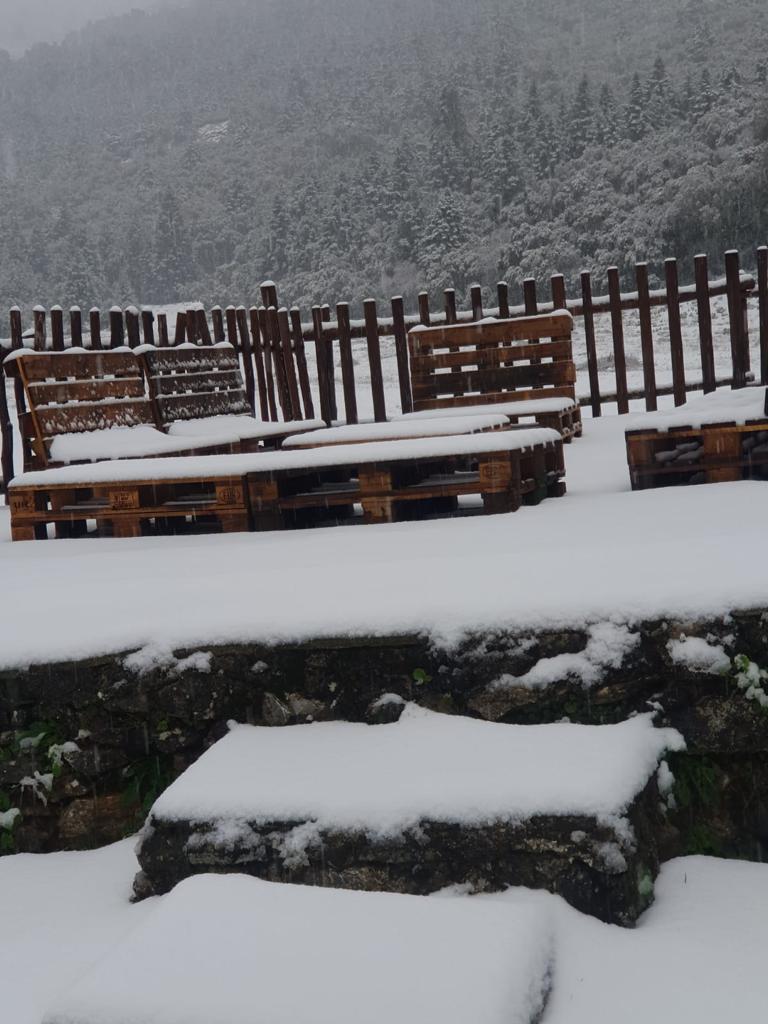 El paso de la borrasca Celia deja nieve y lluvia en distintos puntos de la provincia malagueña. En la imagen, el cortijo Las Navas de los Pinsapos, en Parauta.