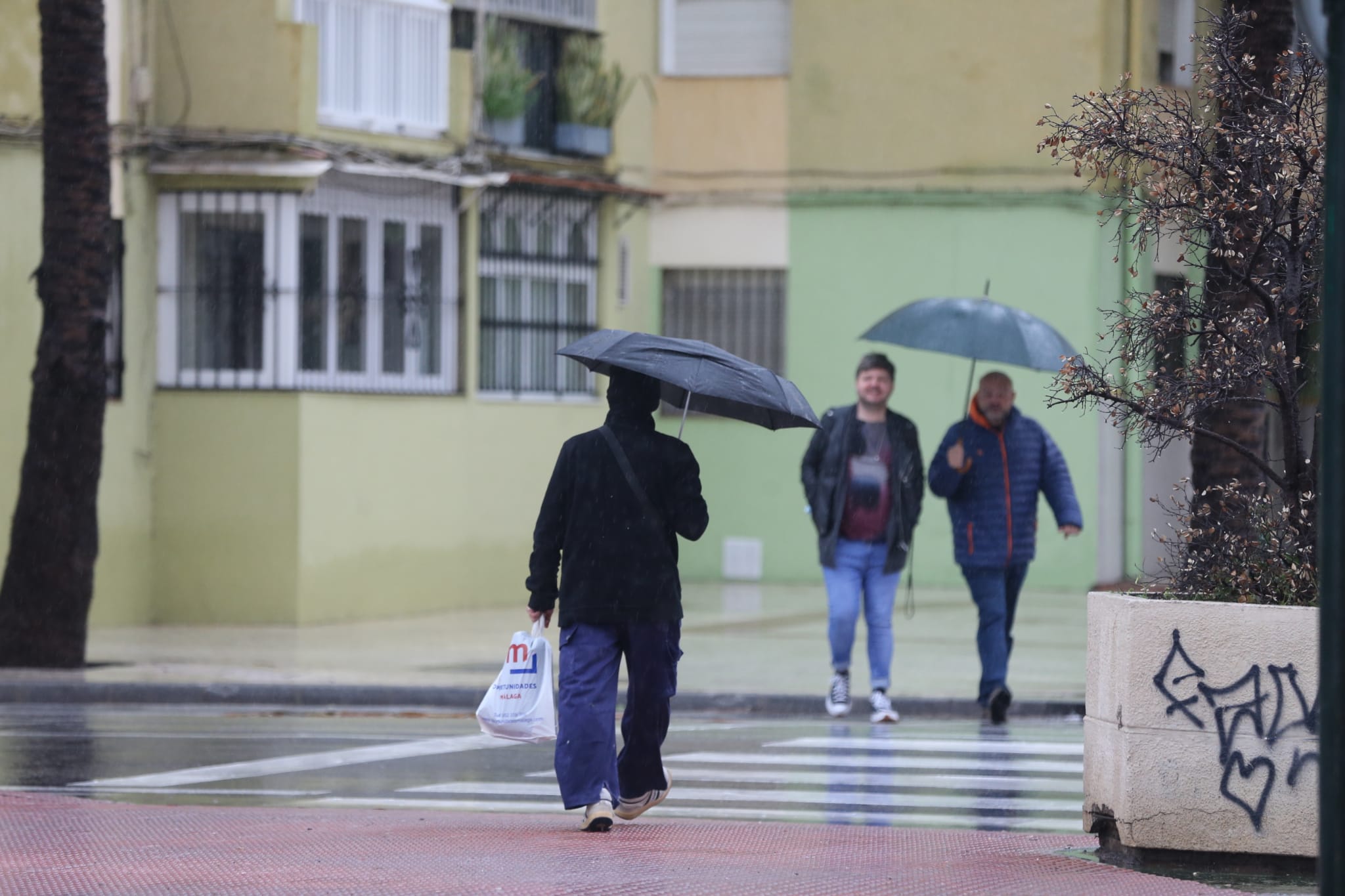 El paso de la borrasca Celia deja nieve y lluvia en distintos puntos de la provincia malagueña