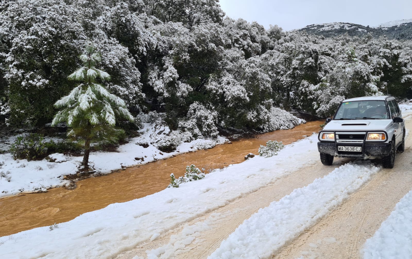 El paso de la borrasca Celia deja nieve y lluvia en distintos puntos de la provincia malagueña. El paso de la borrasca Celia deja nieve y lluvia en distintos puntos de la provincia malagueña. Acceso al parque Sierra de las Nieves