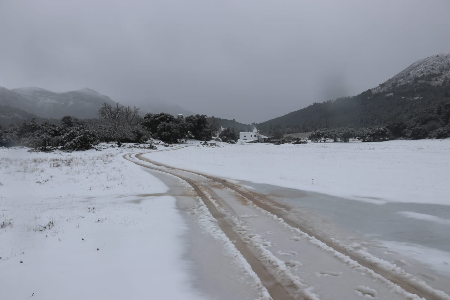 El paso de la borrasca Celia deja nieve y lluvia en distintos puntos de la provincia malagueña. El paso de la borrasca Celia deja nieve y lluvia en distintos puntos de la provincia malagueña. Acceso al parque Sierra de las Nieves