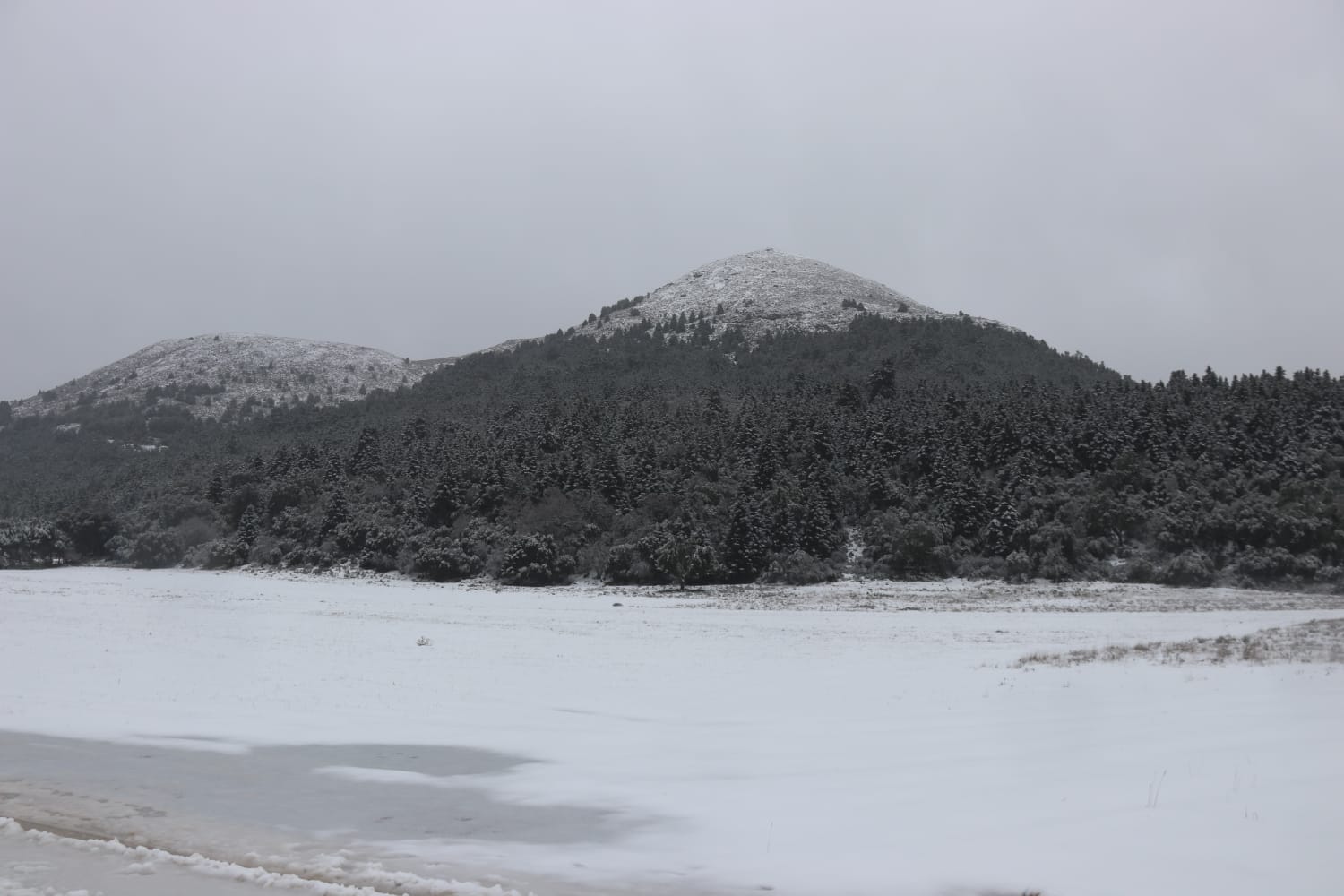 El paso de la borrasca Celia deja nieve y lluvia en distintos puntos de la provincia malagueña. El paso de la borrasca Celia deja nieve y lluvia en distintos puntos de la provincia malagueña. Acceso al parque Sierra de las Nieves