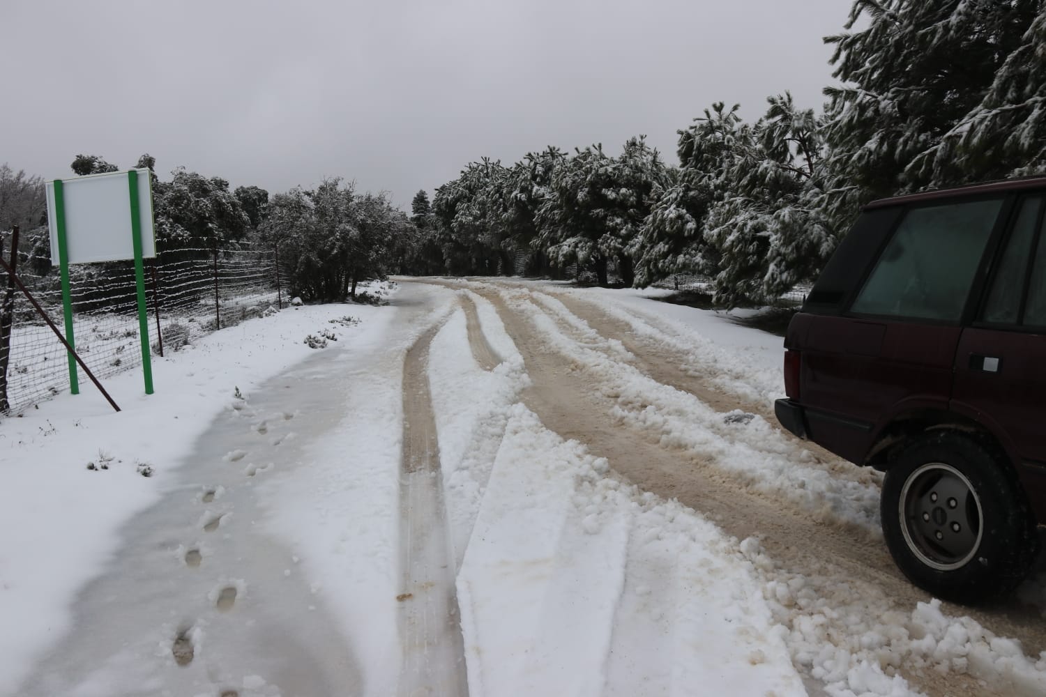 El paso de la borrasca Celia deja nieve y lluvia en distintos puntos de la provincia malagueña. El paso de la borrasca Celia deja nieve y lluvia en distintos puntos de la provincia malagueña. Acceso al parque Sierra de las Nieves