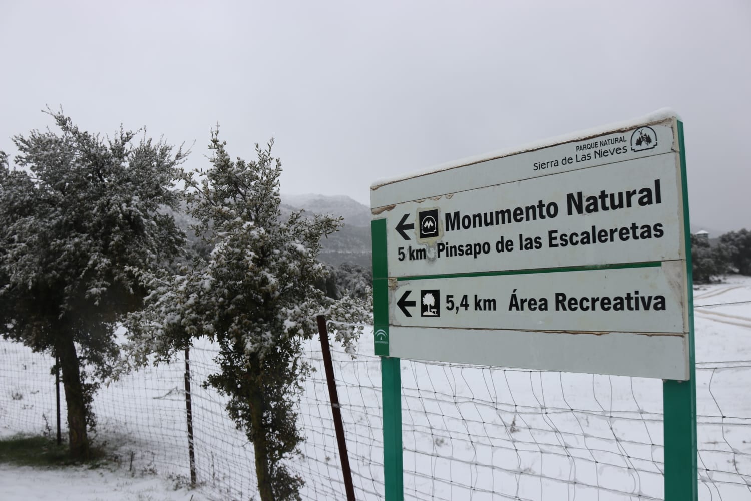 El paso de la borrasca Celia deja nieve y lluvia en distintos puntos de la provincia malagueña. El paso de la borrasca Celia deja nieve y lluvia en distintos puntos de la provincia malagueña. Acceso al parque Sierra de las Nieves