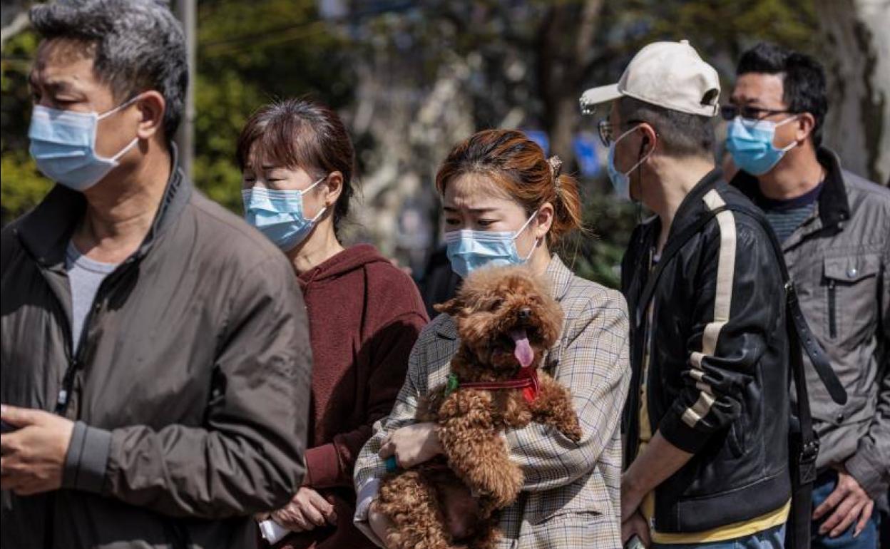 Un grupo de personas hace cola para una prueba masiva de Covid-19 en un parque público en Shanghai. 