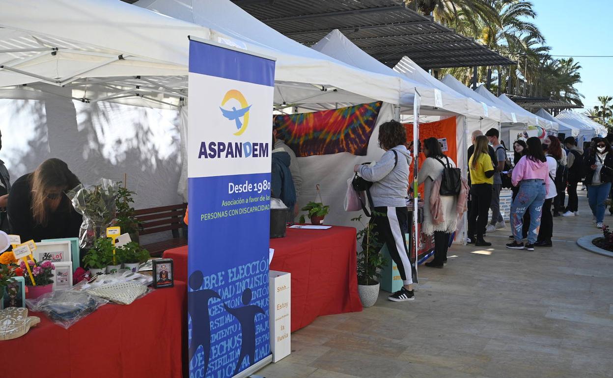 Los jóvenes se han acercado a a la Feria Social para conocer las opciones de voluntariado. 