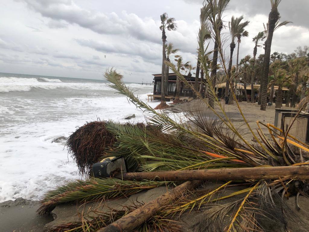 Daños en Marbella