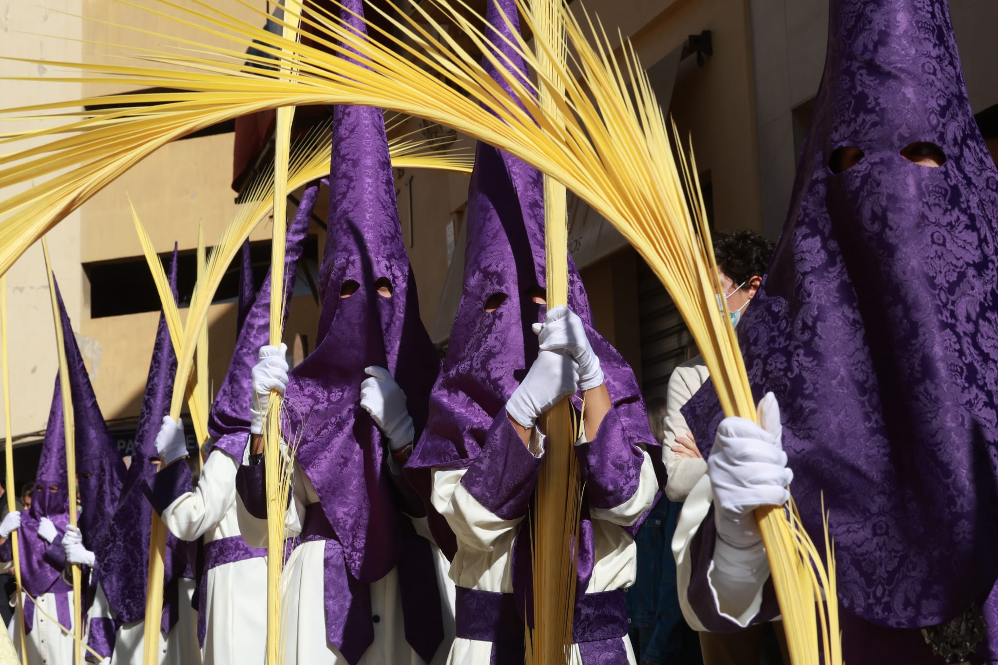 La Pollinica. Domingo de Ramos en Málaga. 