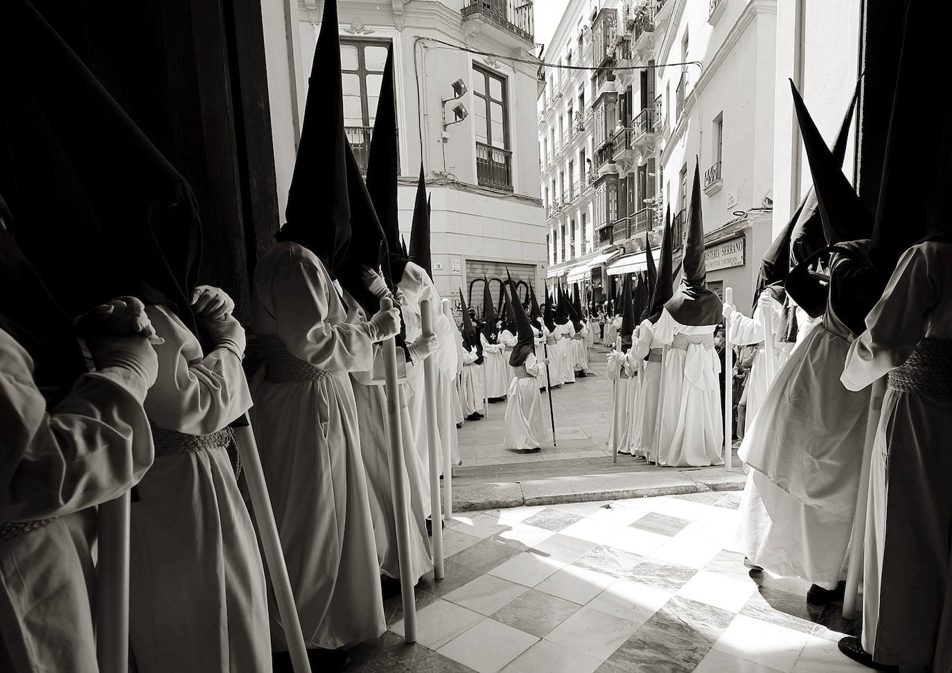 Imágenes del Domingo de Ramos. 