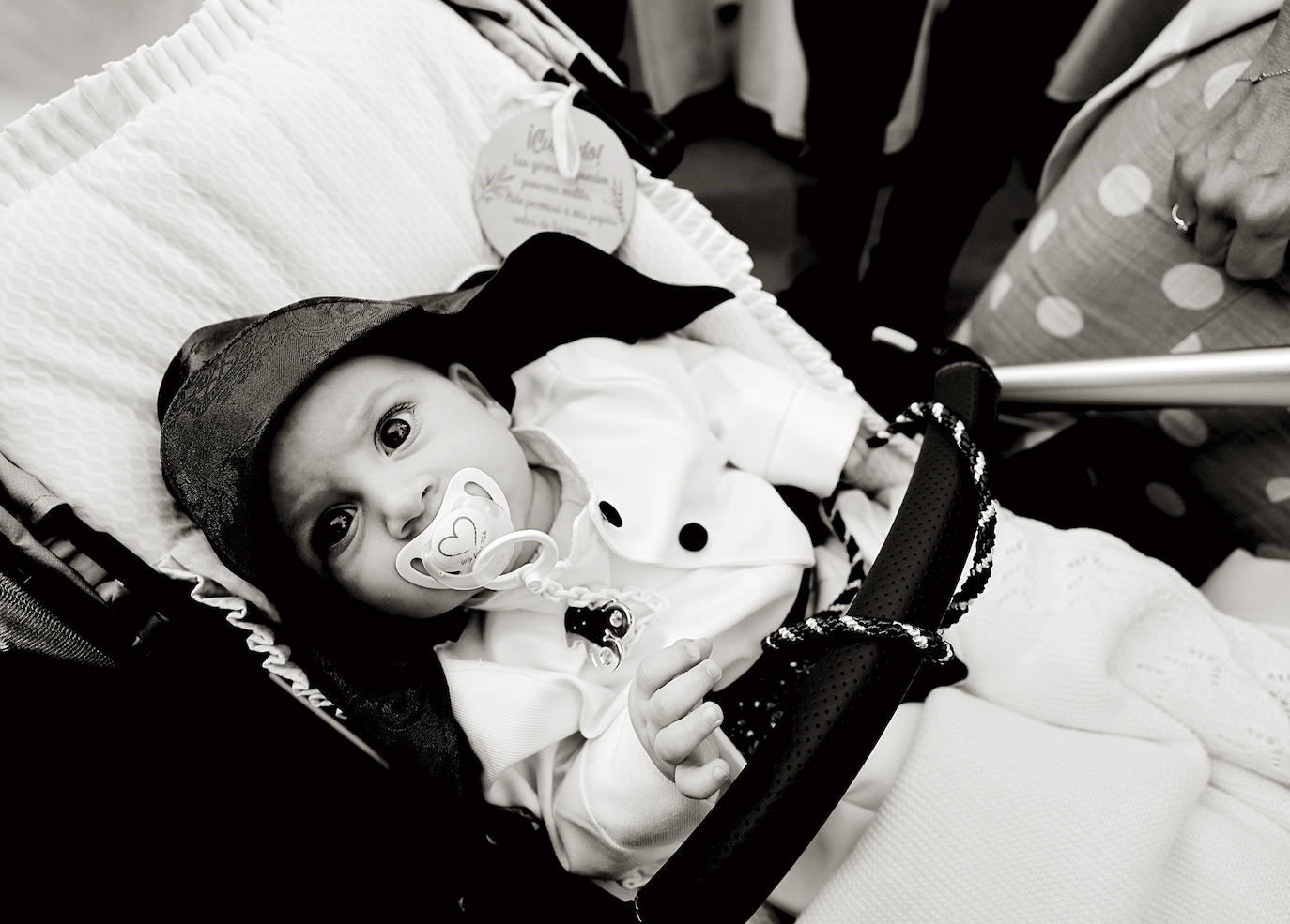 Imágenes del Domingo de Ramos. 