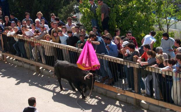 Toro de Cuerda en Gaucín.