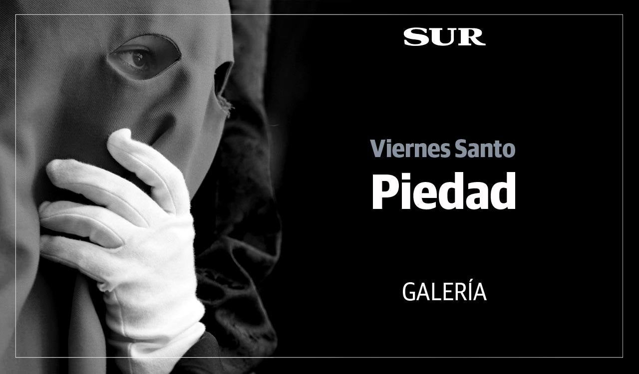 Las mejores imágenes de las cofradías del Viernes Santo en Málaga. Procesionan Monte Calvario, Descendimiento, Dolores de San Juan, Amor, Traslado, Piedad, Sepulcro y Servitas.