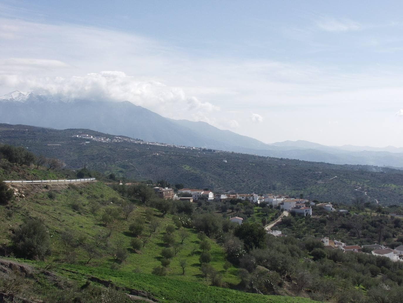 La aldea de Mondrón, en primer término, y Periana, en segundo, entre olivos verdiales. 